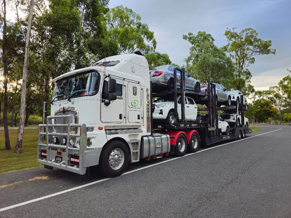 Transporte